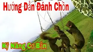 Hướng dẫn bẫy chồn đèn,triết danh,kỹ năng cơ bản cho người mới chơi