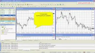 Как получить доступ к MetaTrader 4?