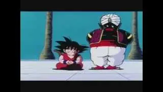 Training with Mister Popo in a Nutshell