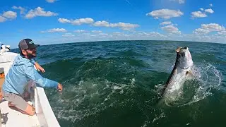 Skyway Fishing Pier GROUPER & TARPON Madness!