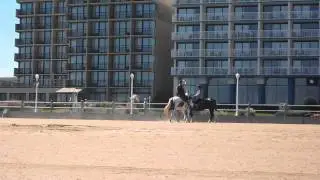 Va Beach 1
