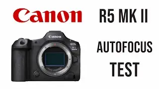 R5 MK II - First Impressions Auto Focus Test