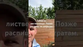 12 мая 2024 г.