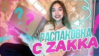 BIG unboxing with ZAKKA / Shopping for office supplies and more