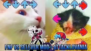 Attacklovania BUT TURKISH CAT VS TOWEL KITTEN - Friday Night Funkin Animation  - VS Selever Mod