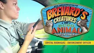 Brevard's Creatures  - BCSO Animal Enforcement