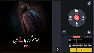 How To Make Double Colour Text Urdu Status In Kinemaster | New Kinemaster Trending Status Editing