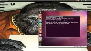 how to install guest additions in linux on virtualbox