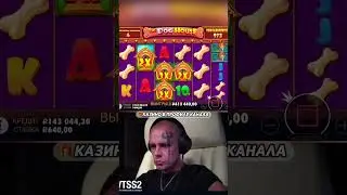 Витус по красоте словил 500.000 в собачках #витус #zubarefff