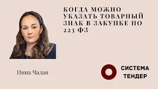 Когда можно указать товарный знак в закупке по 223 ФЗ. Система-Тендер. Чалая Инна Сергеевна