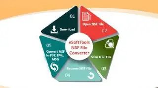 NSF to Outlook Export