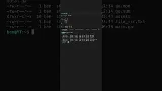 Mastering Golang: Tips & Tricks - Copy files 