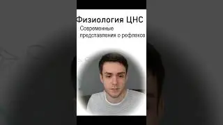 Физиология нервной системы #физиологиячеловека