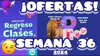 OFERTAS, PROMOCIONES SEMANA 36 2024 Betterware,