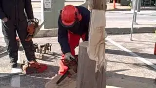 Saw Dogs
