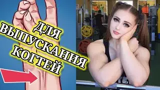 ФАКТЫ О МЫШЦАХ КОТОРЫЕ ТЫ ТОЧНО НЕ ЗНАЛ || ТОП 20 ФАКТОВ О ТВОИХ МЫШЦАХ