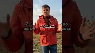 Как подготовить участок к строительству за копейки. Сезон 4. Серия 9. Остальные серии в аккаунте👆🏼