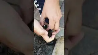 Замена форсунки | Автополив 💦 Краснодар | Благострой123