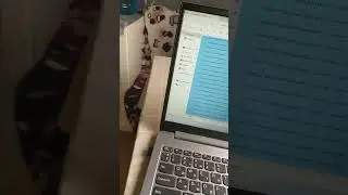 УДАЛЯЕМ ЧАСТИ ПАПКИ