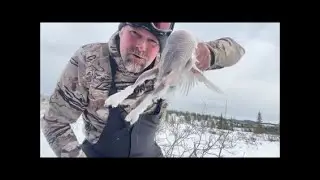 Excellent Day On The Land Hunting