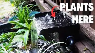 It's here: pond waterfall from POPOSOAP