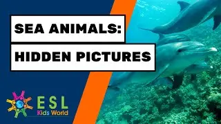 Sea Animals Hidden Pictures Game | Find Sea Animals for Kids