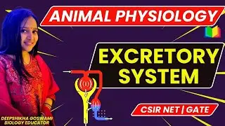 ANIMAL PHYSIOLGY | EXCRETORY SYSTEM COMPLETE | CSIR NET | GATE