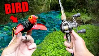 BIRD Fishing Lure Catches BIG FISH (CRAZY!)