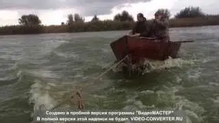 Бешенный толстолобик