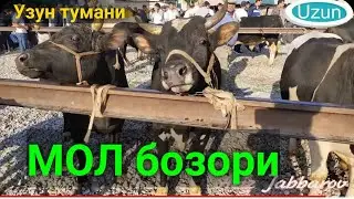 Сурхондарё Узун МОЛ бозори. 23.05.2021й