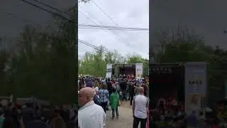 Despasito1 desde long Grove Illinois
