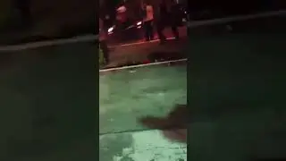 ROMBONGAN 8 BUS KESURUPAN DI YOGYAKARTA
