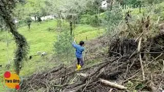 No hay cuarentena en el campo 😅