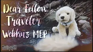 Dear Fellow Traveler : A COMPLETED WEBKINZ MEP