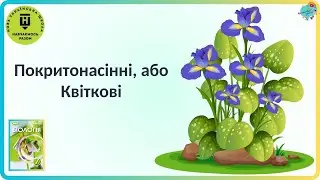 Покритонасінні, або Квіткові