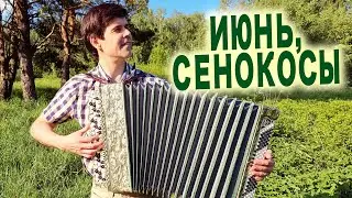ПОТРЯСАЮЩАЯ ПЕСНЯ! Июнь, сенокосы - поет Вячеслав Абросимов