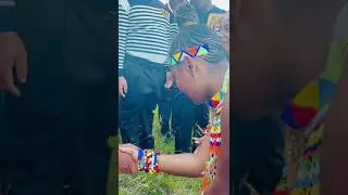 ukuqoma kwentombi ( She said yes!)