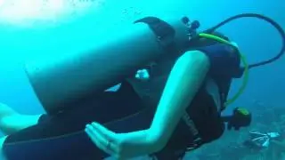 Diving Tahiti : Vallee Blanche