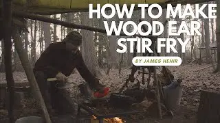 How to Make Wood Ear Fungus Stir Fry