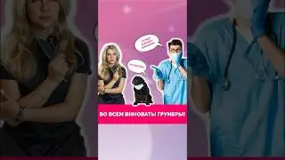 Во всем виноваты грумеры! Полный ролик уже на канале!