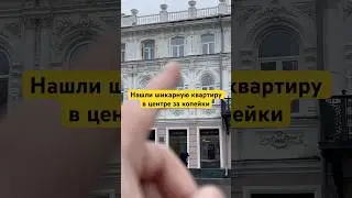Нашли шикарную квартиру за копейки в центре 