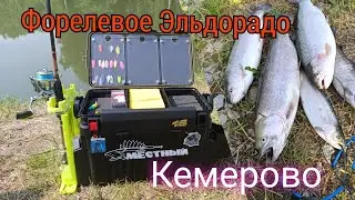 Рыбалка в Кузбассе. ФОРЕЛЬ СОШЛА С УМА. Жаркий июнь