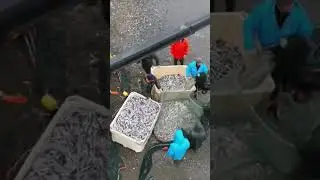 2 июля 2024 г.