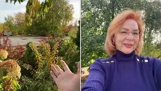 Полезные советы 👌! Октябрь-2023.