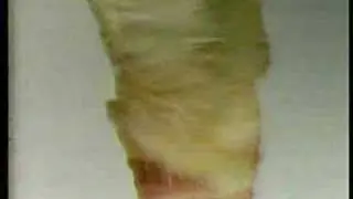 TV Guide 1988 TV Commercial