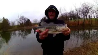 How Many Dink's Does It Take To Get To A Real Bass