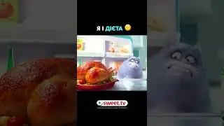 Всім, хто сидів чи сидить на дієті, присвячується. Ми з вами) #гумор #смішно #прикол #sweettv