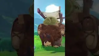 How Rich Is Dori Actually? - Genshin Impact Lore