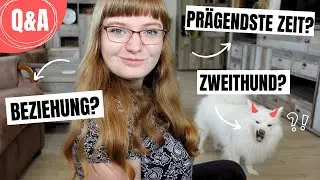 Die prägendste Zeit meines Lebens: Shanty über Liebe, Livestreams & intrusive Erinnerungen | Q&A
