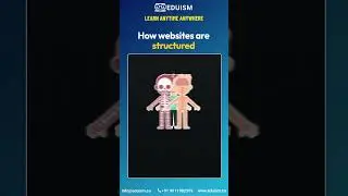How websites are Structured!#css #html #javascript #js #cssbeginners #webdev #ai #ml #programming